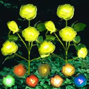 Luminous Solar Rose Lights