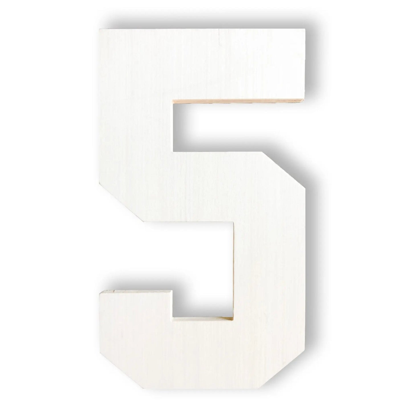 3.5 Feet! | Huge Letters | "Ordered Monday, Had Thursday!"