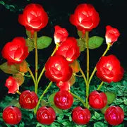 Luminous Solar Rose Lights