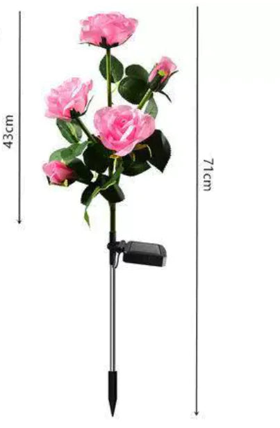 Luminous Solar Rose Lights