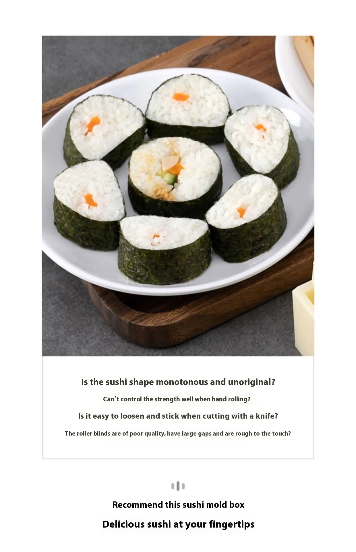 Easy Sushi Shape Kit